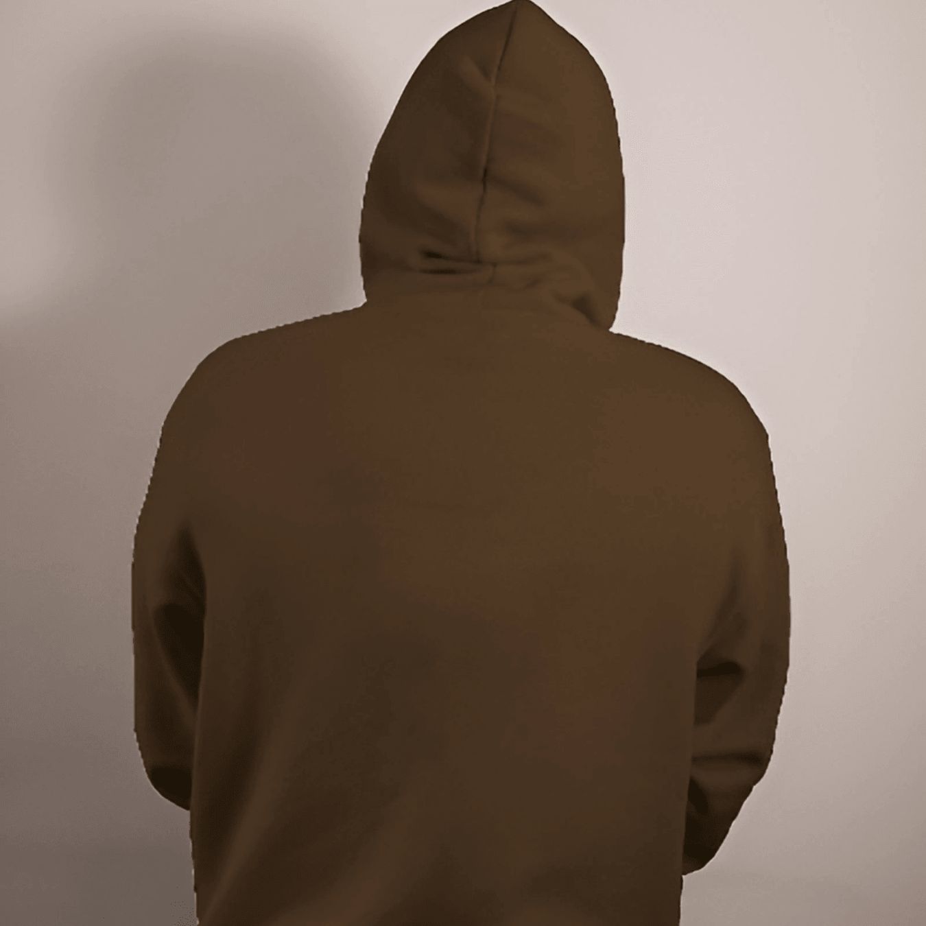 Nitorious Brown NASA Luxe Hoodie.