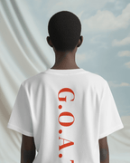 Diljit Dosanjh Aura Tour Regular White T-shirt