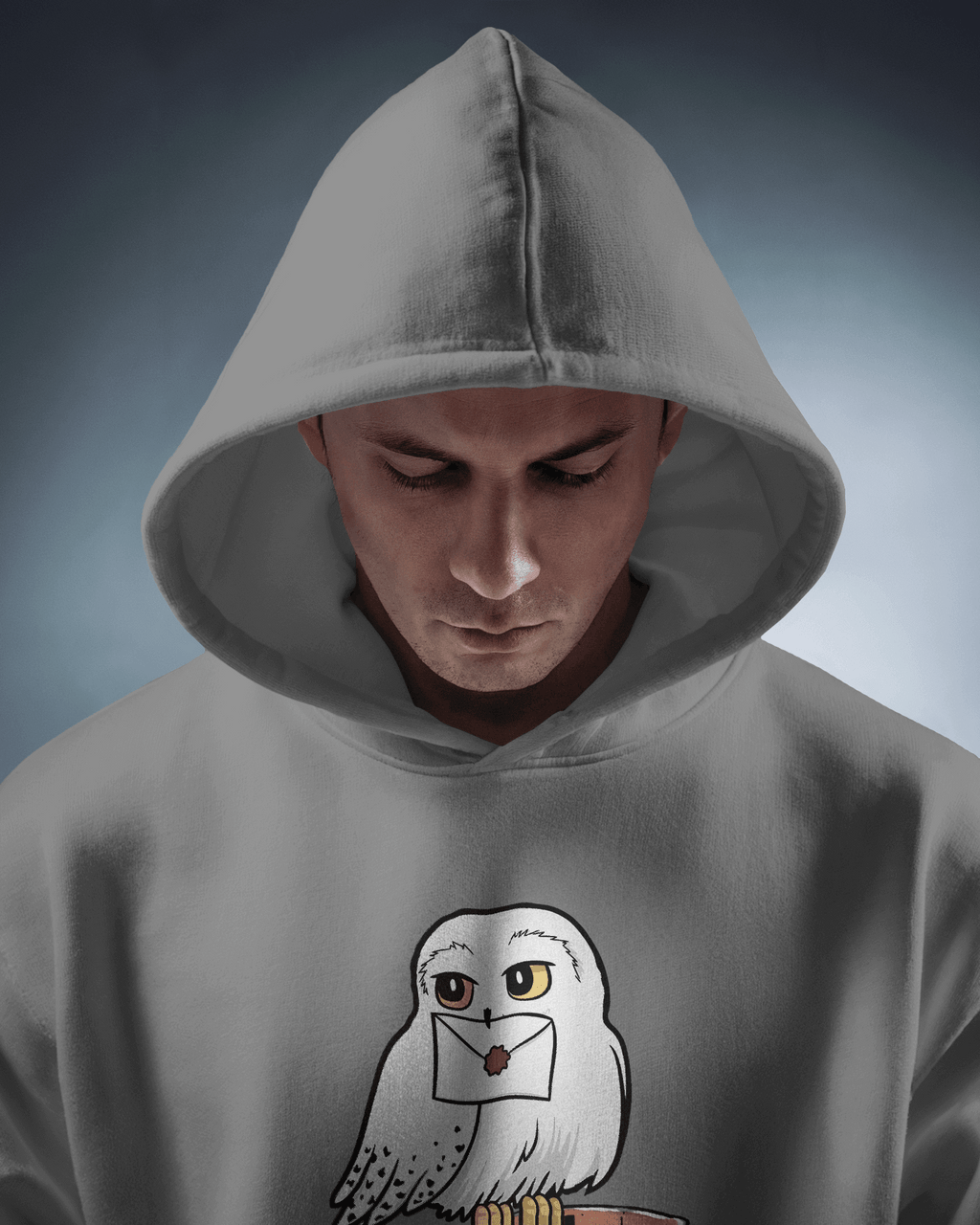 Harry Potter Grey Luxe Hoodie.