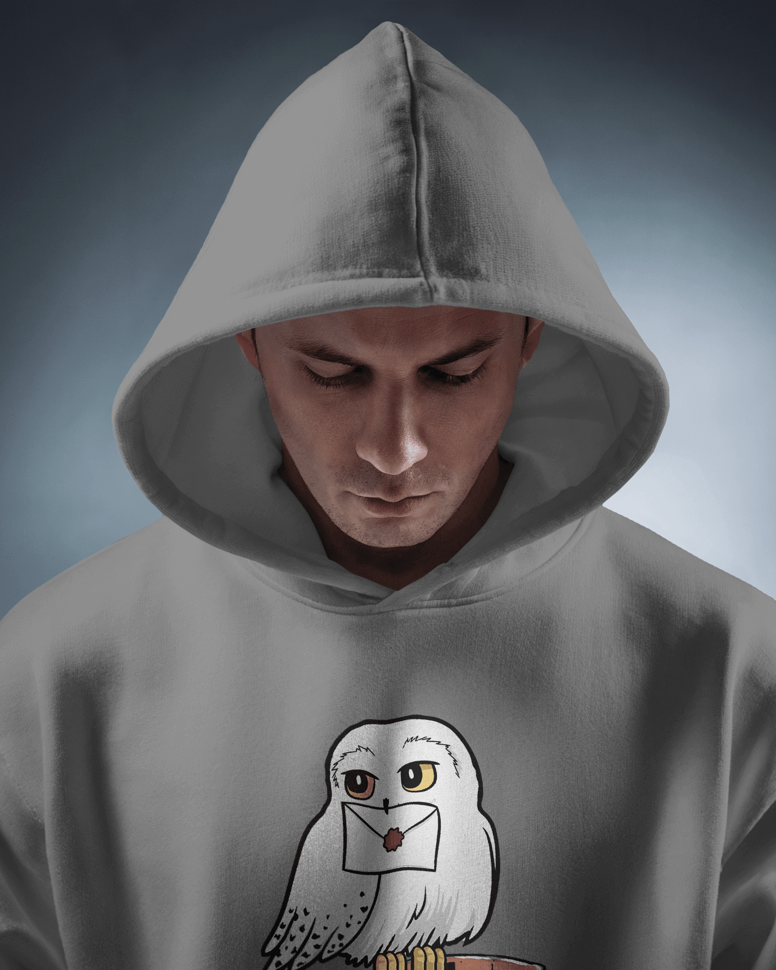 Harry Potter Grey Luxe Hoodie.