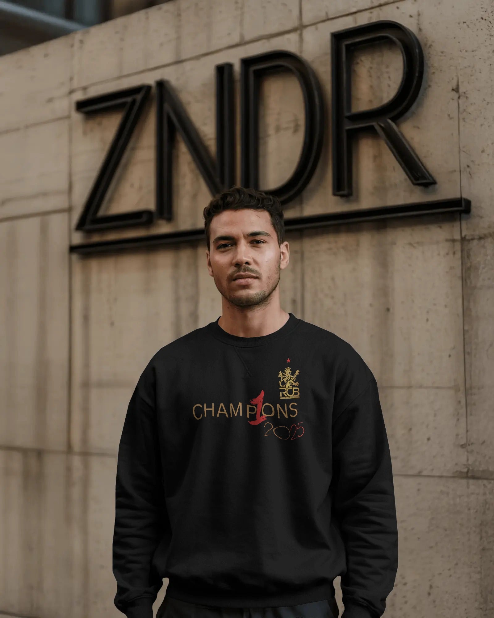 Black Luxe Sweatshirt made from premium cotton fleece, offering a sleek minimalist design with a smooth finish. Features a relaxed fit, soft interior lining, and ribbed cuffs for everyday comfort and elevated streetwear style.